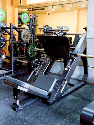 リニアレッグプレス