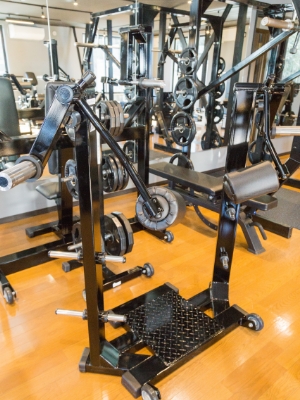 HTショルダーレイズ