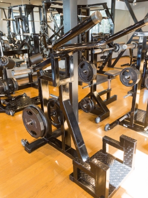 マッスルディップス