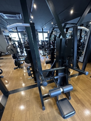 RRプルダウン&ディップ（ウエイトスタック）